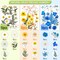 167-Piece Dried Pressed Flowers for Crafts – Multicolor Natural Daisy & Wildflowers for Resin, Candle, Soap, Jewelry, Nail Art, Scrapbooking & DIY Projects (Fresh Color)